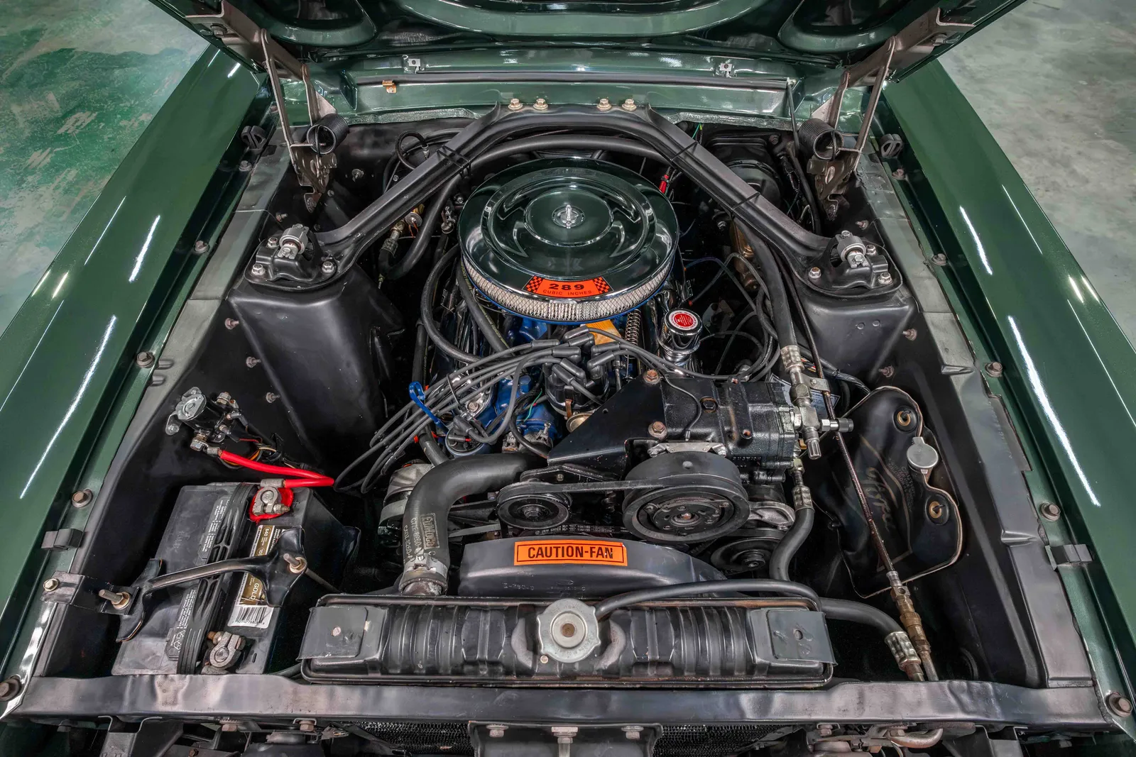 1966-Ford-Mustang-Ivy Green Metallic-6F07A241889-42.jpg